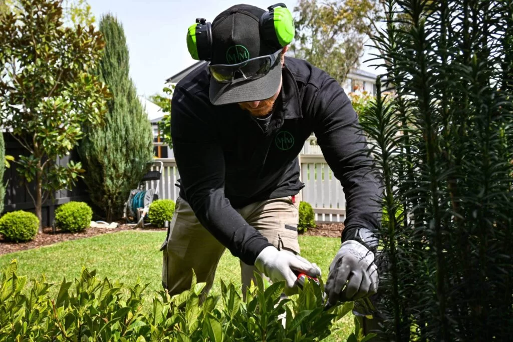 lawn weed spraying in melbourne