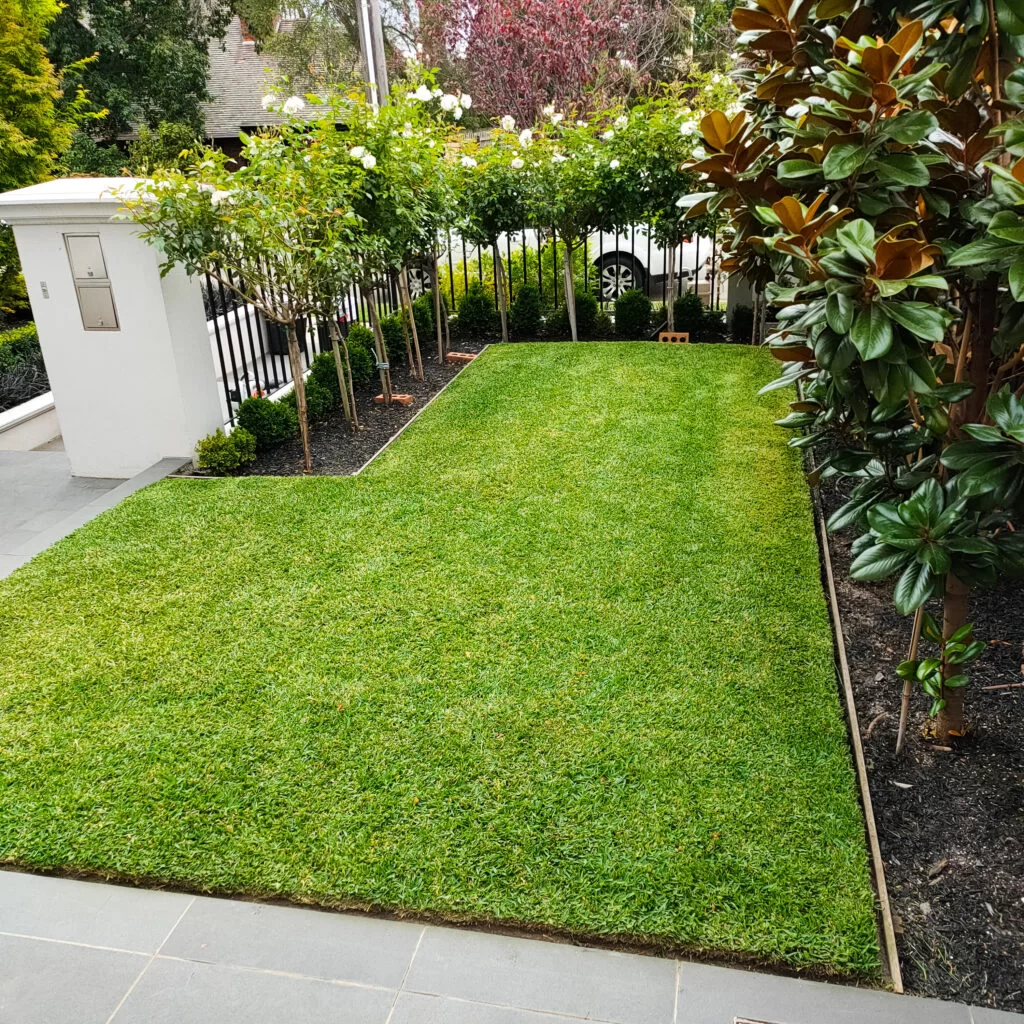 lawn mowing services camberwell