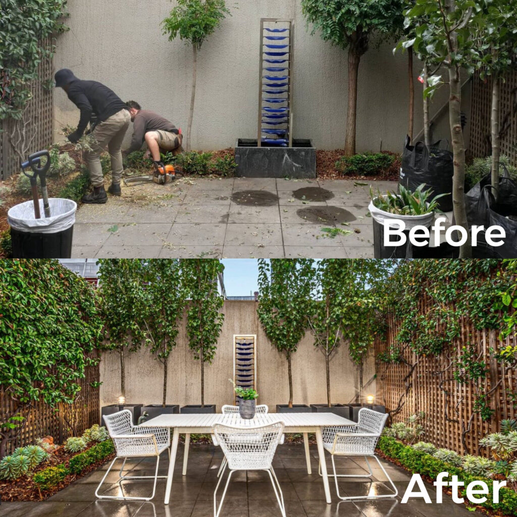 backyard landscaping before and after